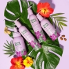 Twist & Braid Cream Sweet Hibiscus - Afbeelding 4